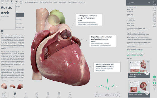 Complete Heart Mac – 心脏高清解剖演示工具 <span style='color:#ff0000;'>v1.1.0(5875)</span>的预览图