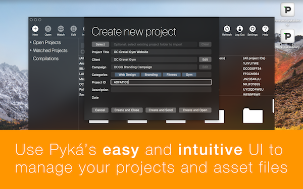 Pyká Mac – 项目管理软件 <span style='color:#ff0000;'>v1.0.10(28)</span>的预览图