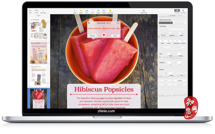 Apple Pages Mac免费版知您网免费下载