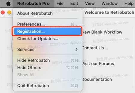 Retrobatch Mac破解版知您网详细描述的截图1